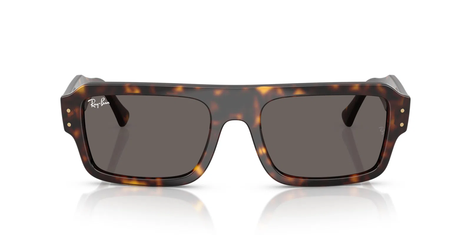 Ray-Ban Lukas 4454F Sunglasses - view 23